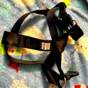 Easy Rider vehicle Seat belt for dogs